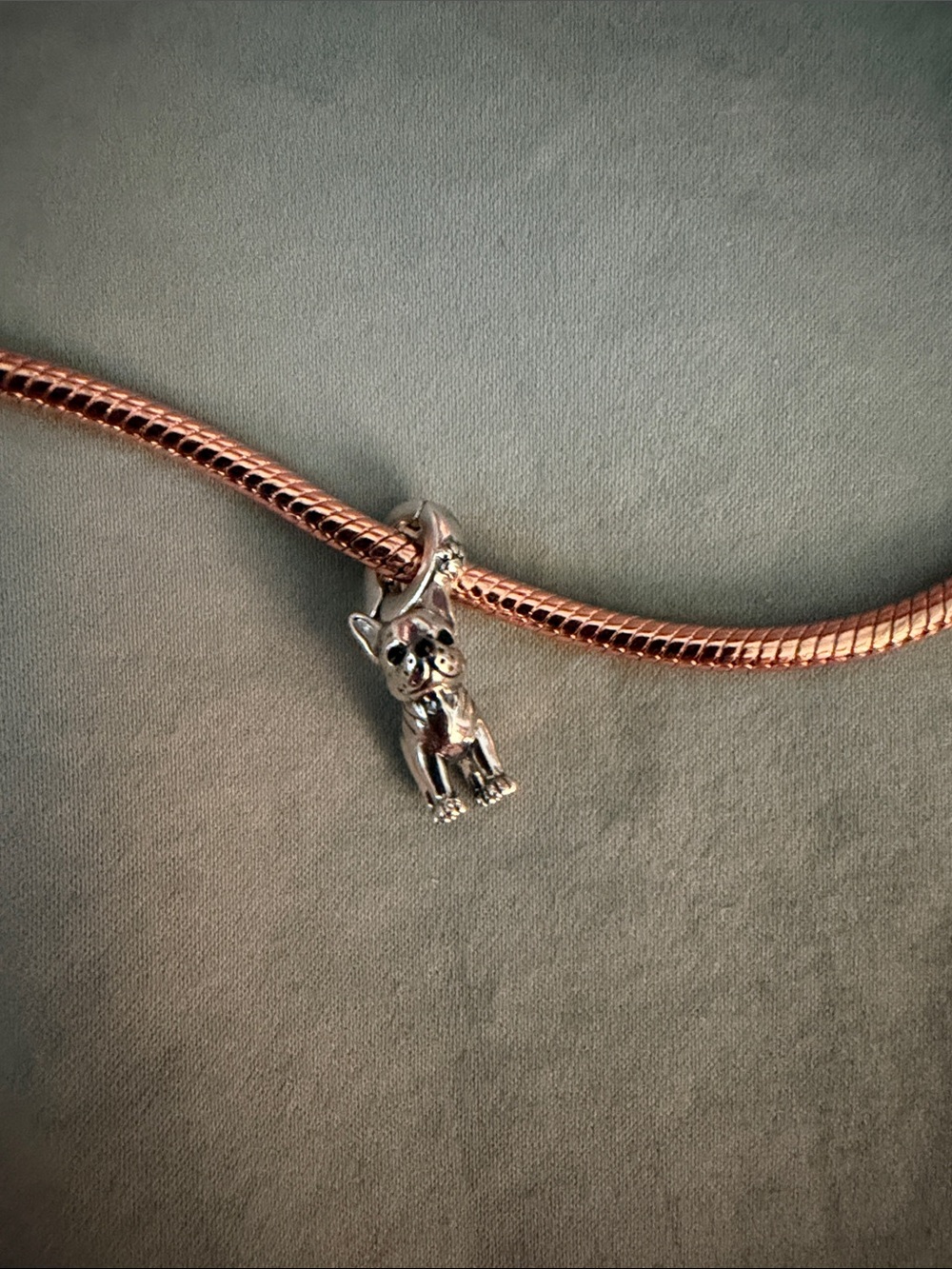 Silver French BullDog Dangle Charm - Picture 4 of 4